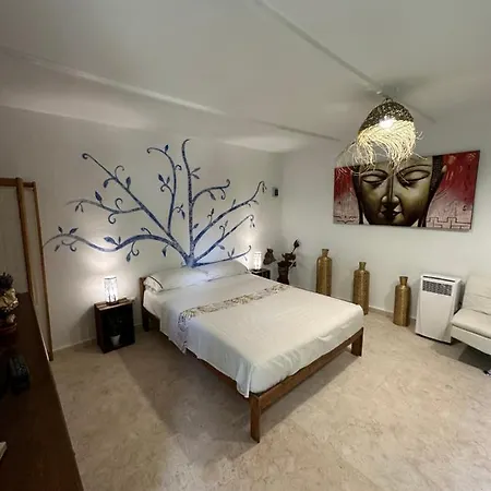 New Paradaise Art Gallery Xàtiva