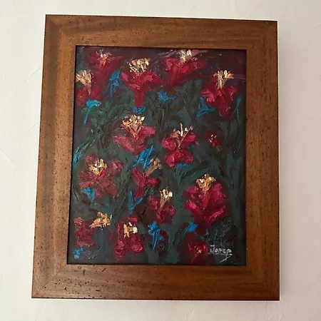 مكان تخييم New Paradaise Art Gallery